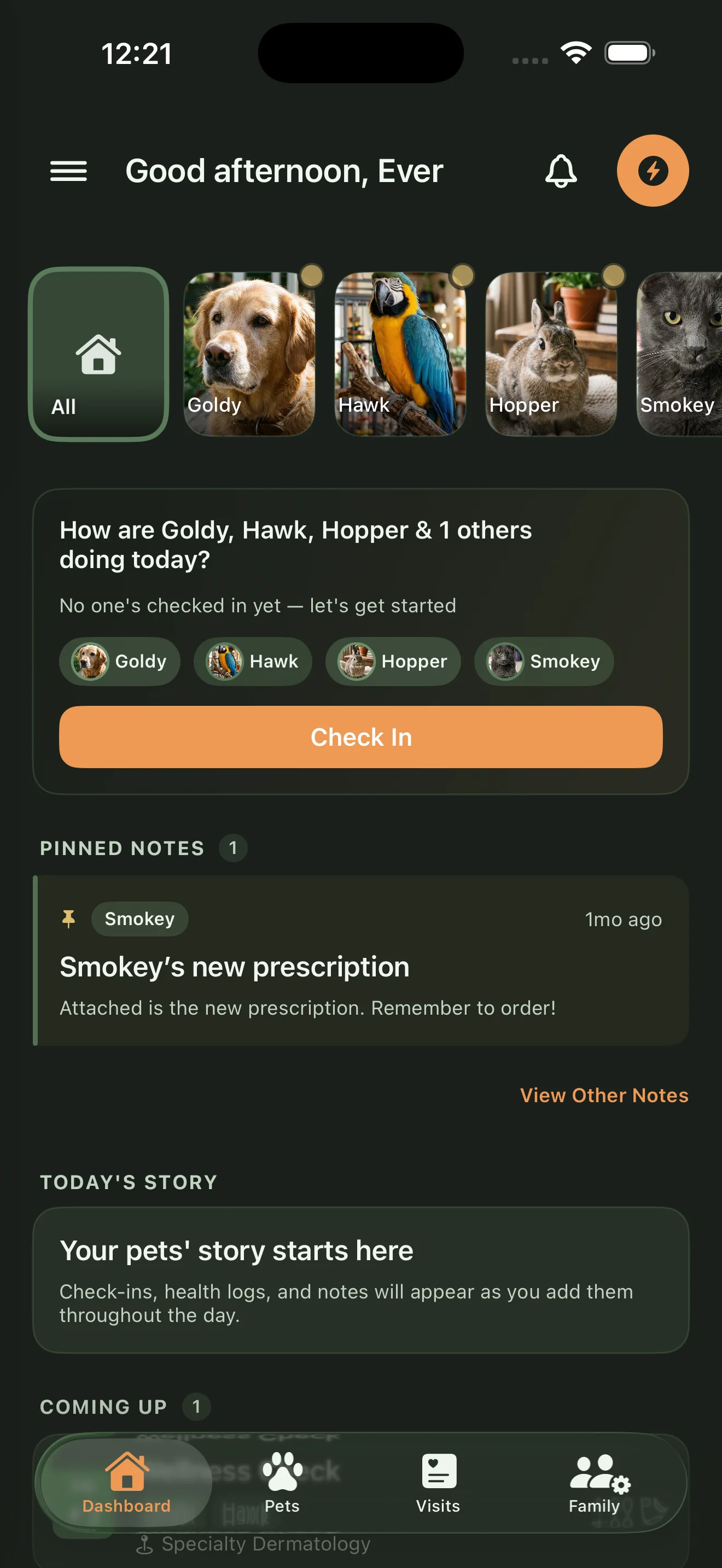 Dashboard with daily check-ins and pet overview